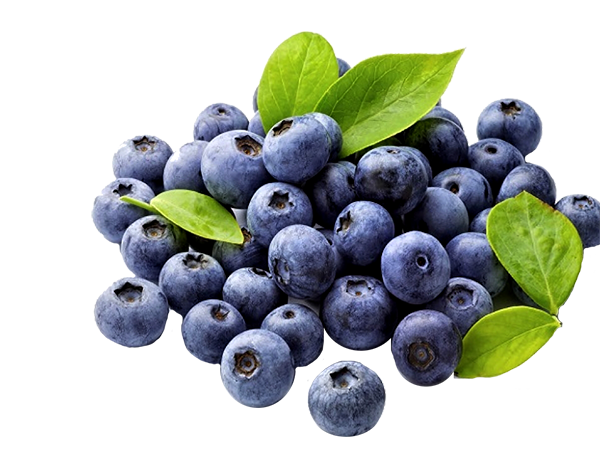  Blue Berry