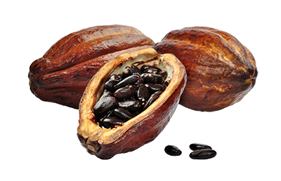  Cocoa