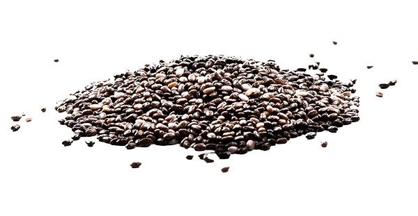  Chia