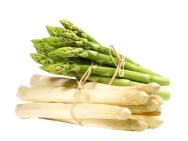  Asparagus