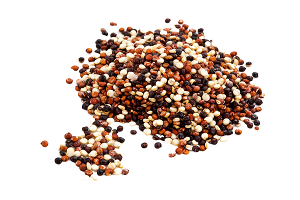  Quinoa