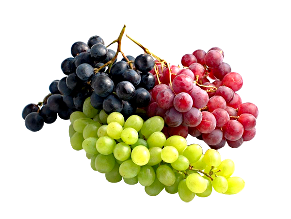  Grape