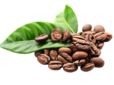 Cafe-new