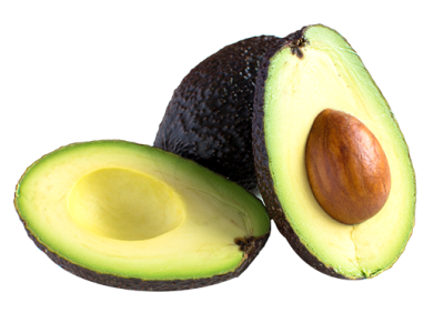 Palta-new