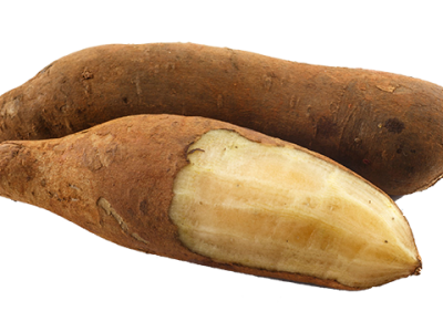 Yacon
