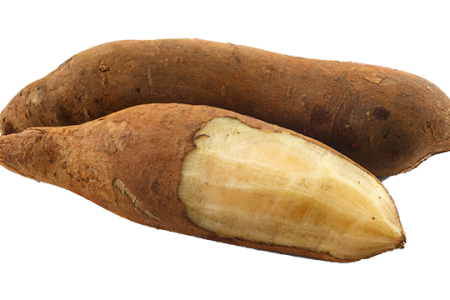 Yacon